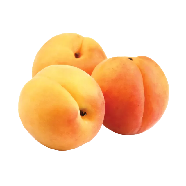 Albaricoque
