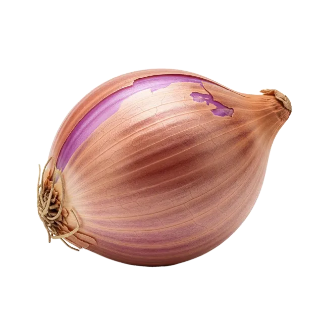 Chalote