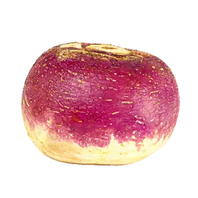 Nabo