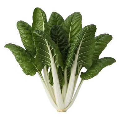 Acelga