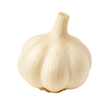 Ajo