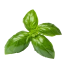Albahaca