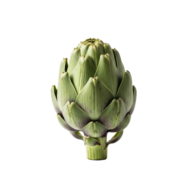 Alcachofa