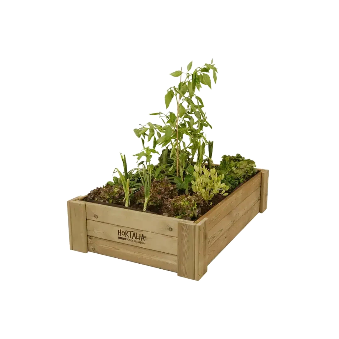 cajon de cultivo box