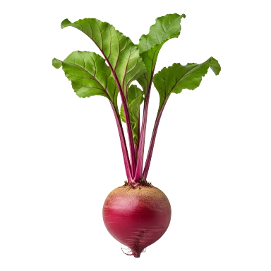 Remolacha roja