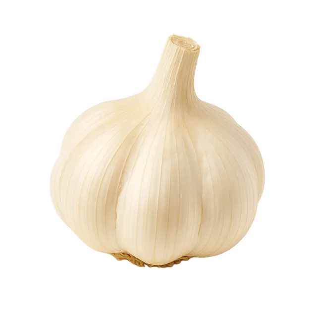 Ajo