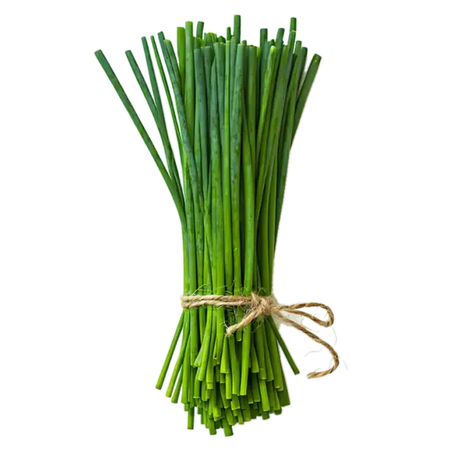 Cebollino