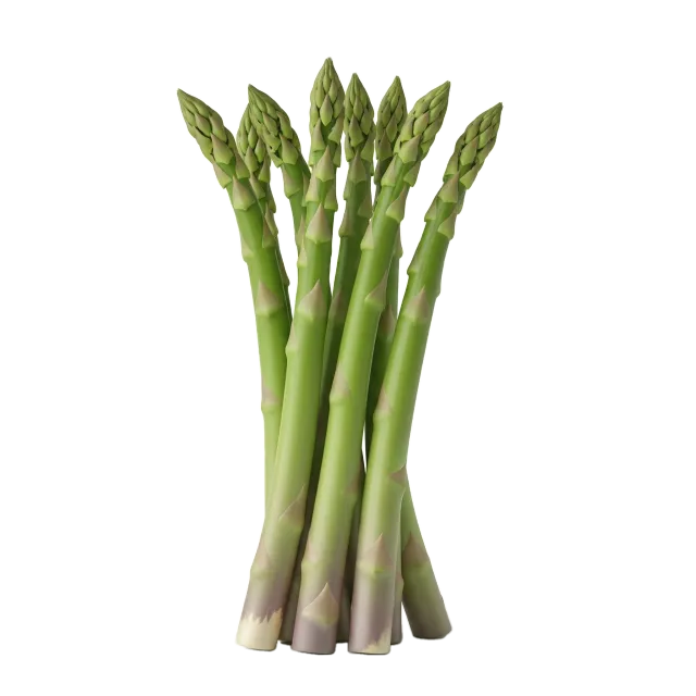 Esparrago
