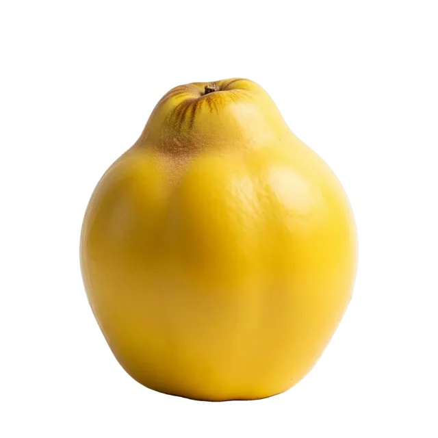 Membrillo